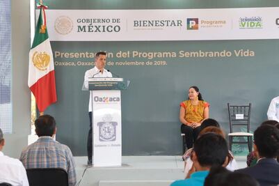 Gobiernos de Oaxaca y Federal ponen en marcha el  Programa Sembrando Vida