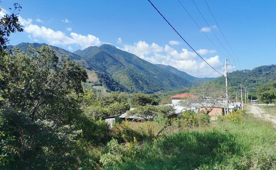 Denuncian en Oaxaca violencia y devastación de talamontes chiapanecos en Los Chimalapas. Foto: Roselia Chaca