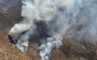 Incendios forestales afectan más 12 mil hectáreas de bosques y pastizales en Oaxaca; hay 8 incendios activos 