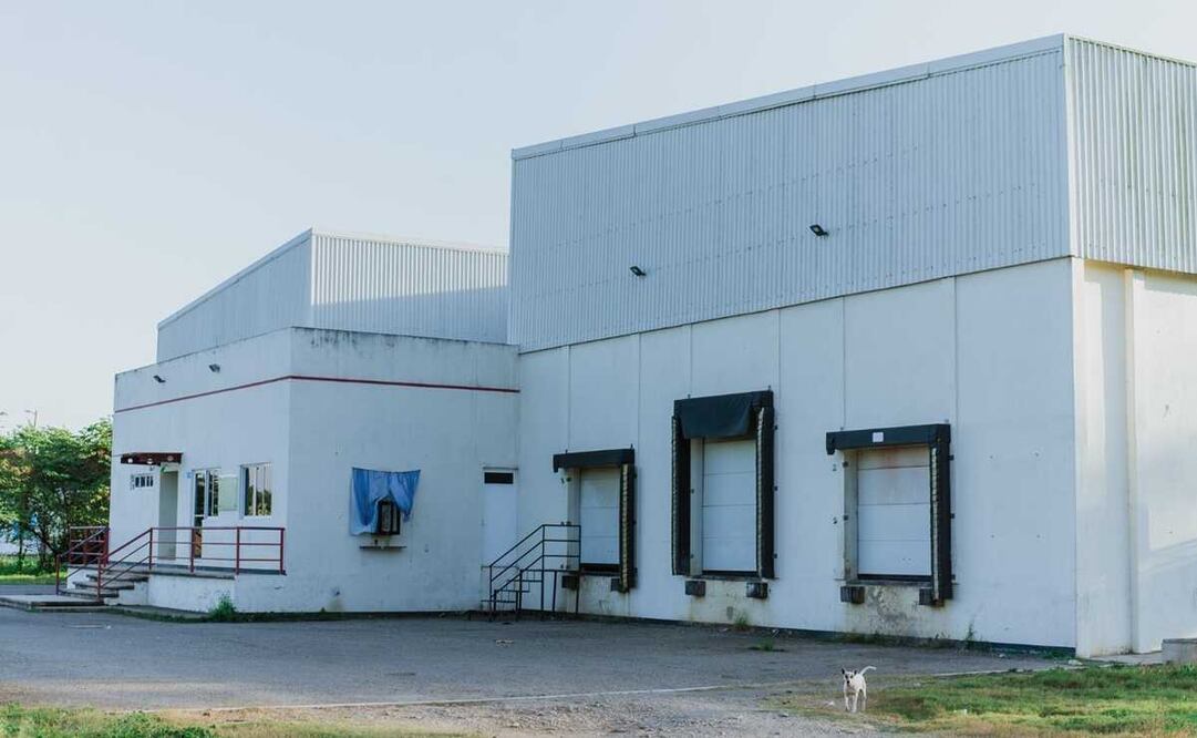 Rastro de Tuxtepec es “elefante blanco” de negocios ilegales y corrupción, afirma director. Fotos: Antonio Mundaca