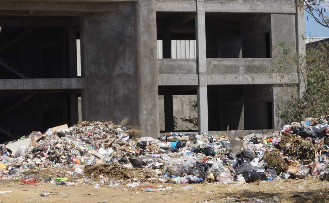 Foto: Edwin Hernández