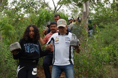 Ciudadanos reforestan el Cerro del Fortín