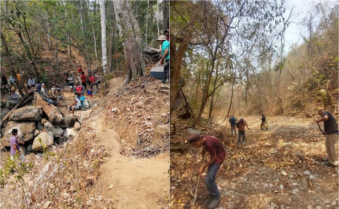Amenazan incendios a selva virgen de Los Chimalapas, Oaxaca; esperan ayuda aérea. Fotos :Oaxaca