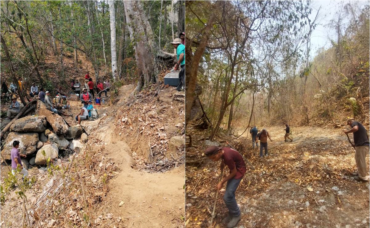 Amenazan incendios a selva virgen de Los Chimalapas, Oaxaca; esperan ayuda aérea. Fotos :Oaxaca