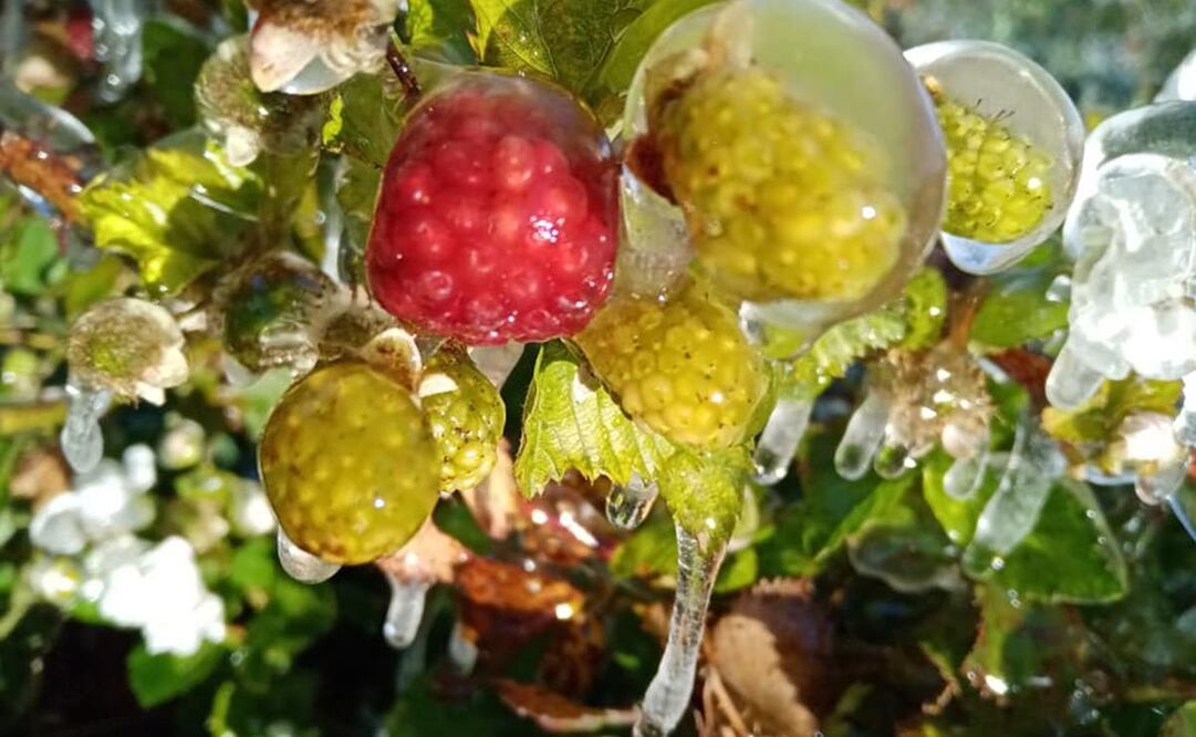 Fotos. Facebook Heldiberto Osorio