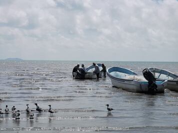 Pescadores de Huamúchil arriesgan diario su vida por 100 pesos