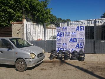 Asegura fiscalía de Oaxaca 15 mil huevos de tortuga en el Istmo de Tehuantepec