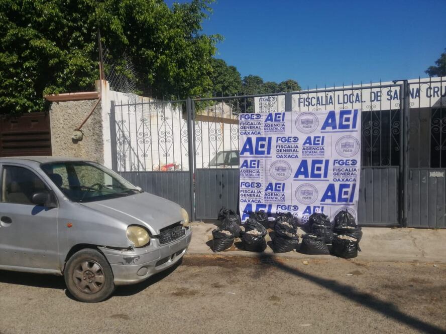 Asegura fiscalía de Oaxaca 15 mil huevos de tortuga en el Istmo de Tehuantepec