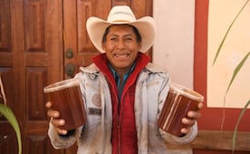 Festivales de octubre en Oaxaca que no te puedes perder: barbacoa, mole de caderas y cerveza artesanal