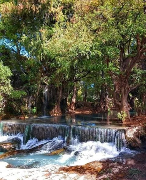 Tamazulápam es una zona privilegiada al contar con una buena cantidad de cuerpos de agua cristalina rodeados de ahuehuetes milenarios. Foto: FB@Agencia Municipal- La Capilla,Cerro Mojarra