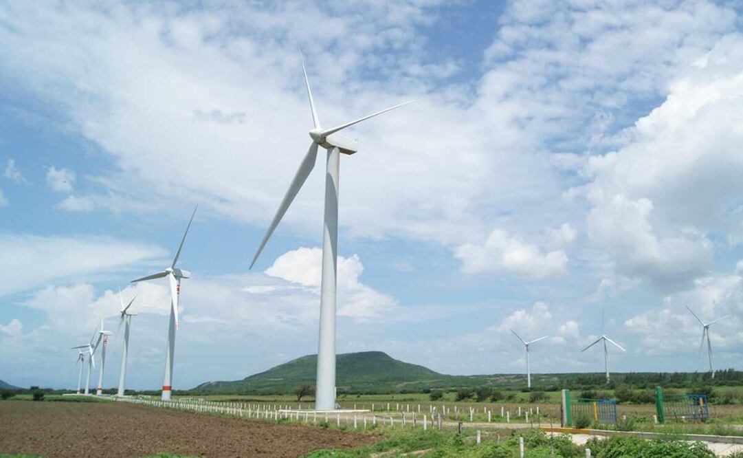 Prevén nueva batalla legal contra eólicas en Oaxaca; dueños de las tierras acusan abusos y represión. Foto: Edwin Hernández