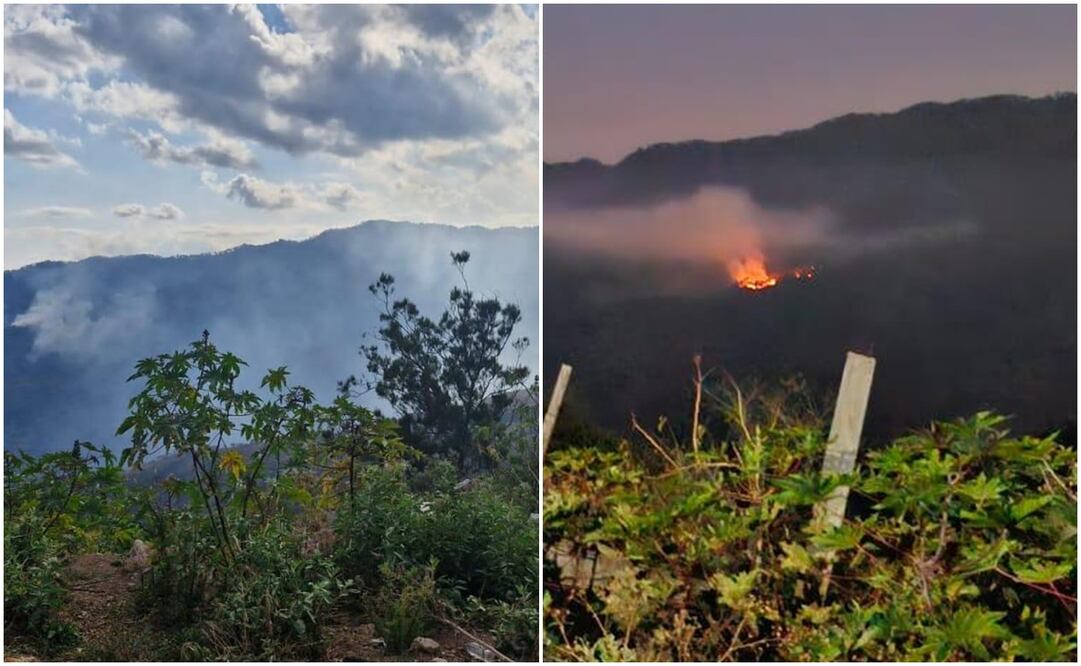 Incendio forestal en Tierra Blanca Copala, Oaxaca, cumple una semana sin atención. Fotos: Cortesía Israel Montesinos