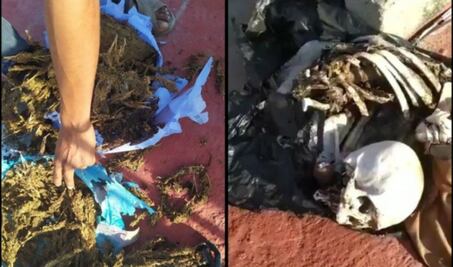 Hallan osamenta humana y marihuana en techo de un edificio de la Fiscalía de Oaxaca