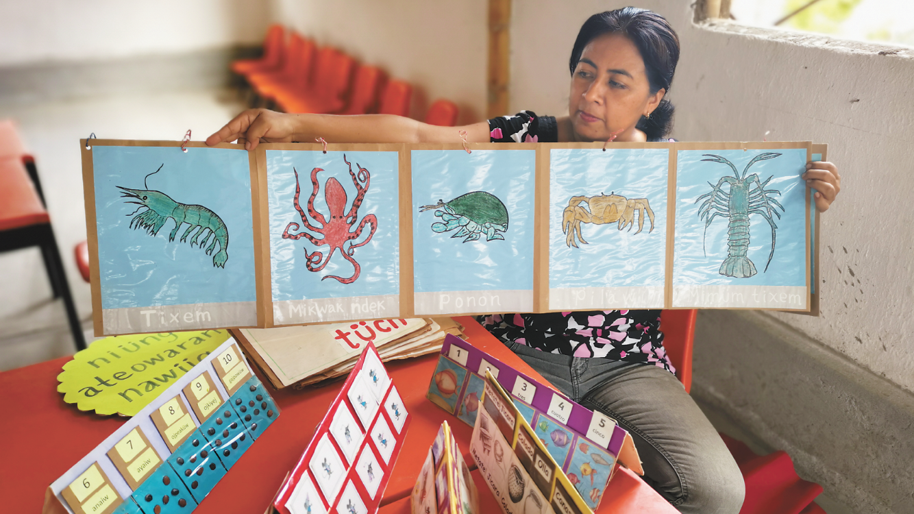 Con materiales didácticos, maestros salvan la lengua ombeayiüts de San Mateo del Mar