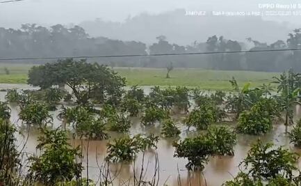 Desbordamiento del río Uxpanapa deja mil 500 personas incomunicadas y daños en cultivos y viviendas en los Chimalapas