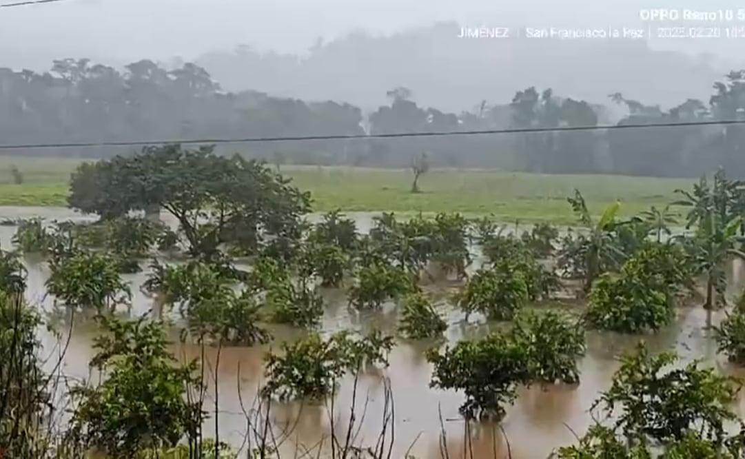 Desbordamiento del río Uxpanapa deja mil 500 personas incomunicadas y daños en cultivos y viviendas en los Chimalapas. Foto: Especial