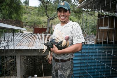 Cuidados biológicos para criar gallos de pelea en Miahuatlán