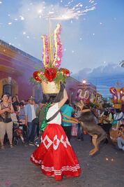 Promueven amparo para que Mazapán salga a las calendas; aseguran que sufre maltrato
