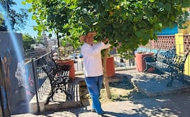 “Los árboles del futuro”, una iniciativa para reforestar Oaxaca y sembrar conciencia ambiental