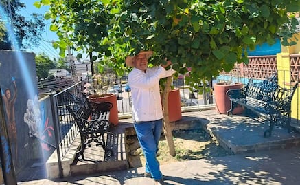 “Los árboles del futuro”, una iniciativa para reforestar Oaxaca y sembrar conciencia ambiental