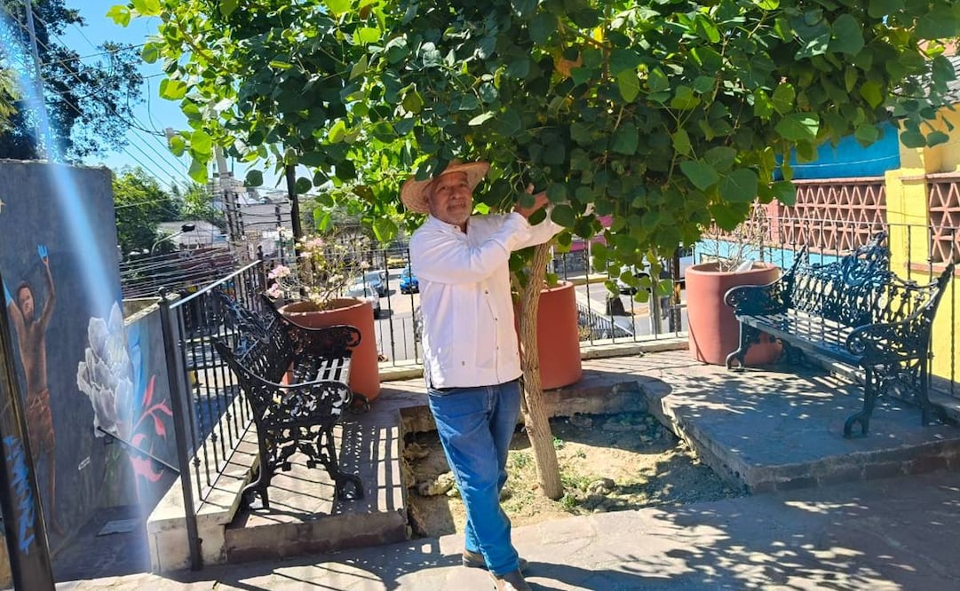 El proyecto que dirige Abel, el cual lleva poco más de 10 años, consiste en plantar árboles que se obtienen a través de una iniciativa creada con este fin llamada “Dóname un árbol”. Foto: Juan Carlos Zavala EL UNIVERSAL
