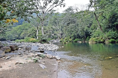 Se arrojan 18 millones de litros de aceite a ríos de Oaxaca