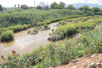 Jueza da un plazo de 90 días a autoridades para rescate de ríos Salado y Atoyac