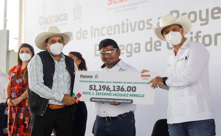 Ante recorte federal de casi 100% al campo, entrega Murat 52 mdp en apoyo al campo  en Tuxtepec