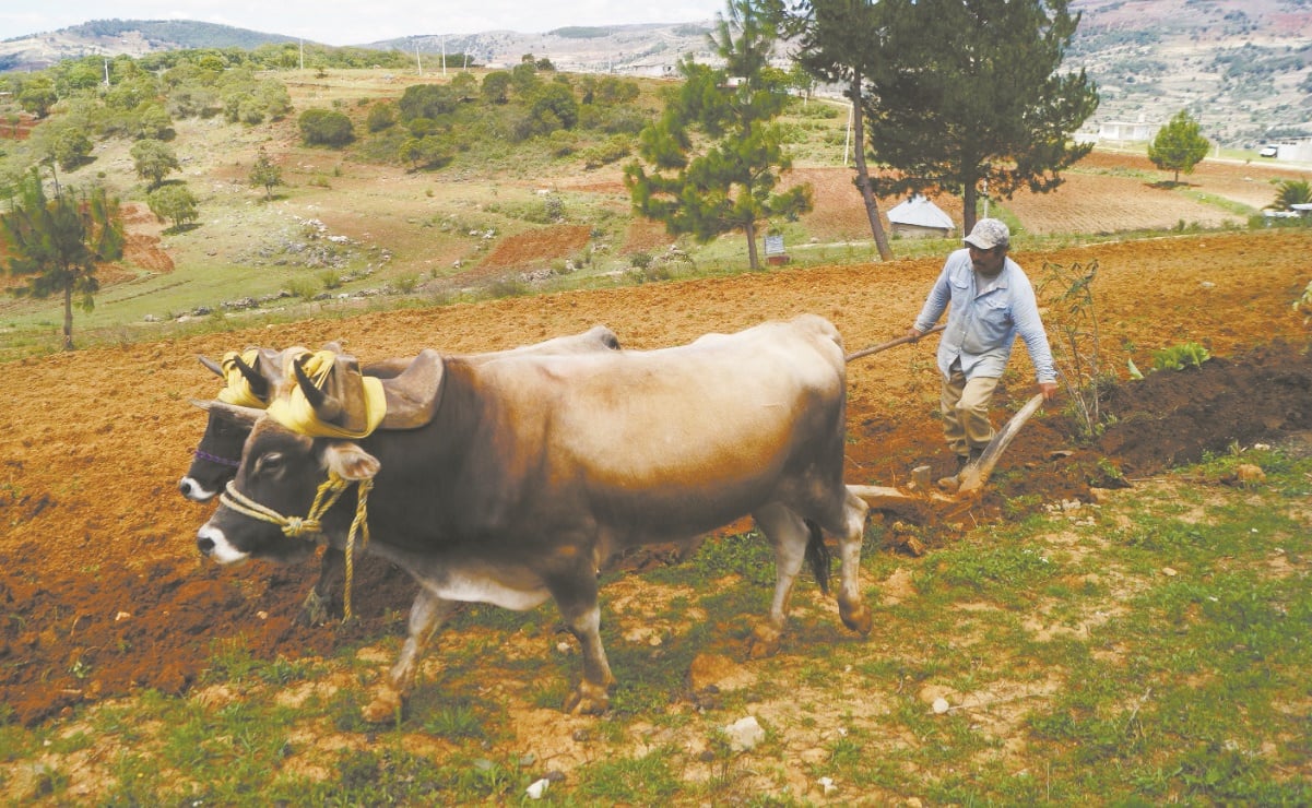 Foto: Archivo EL UNIVERSAL