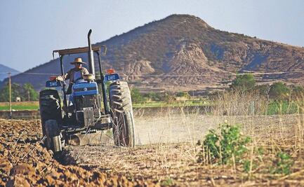 Cada vez es más difícil acceder al agua del subsuelo de Oaxaca; disminuye de 30 a 40 cm al año, explica el INSO