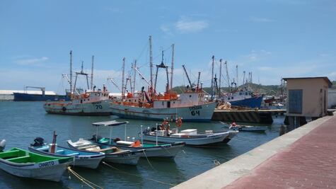 Presupuesto federal 2020 deja sin un peso a programas de pesca