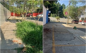 Acusan a Fibra Danhos de cerrar calle pública y de pretender talar dos laureles en la ciudad de Oaxaca 