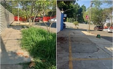 Acusan a Fibra Danhos de cerrar calle pública y de pretender talar dos laureles en la ciudad de Oaxaca