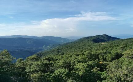 En Los Chimalapas no saben nada del regreso a clases: la educación no sube selvas ni montañas