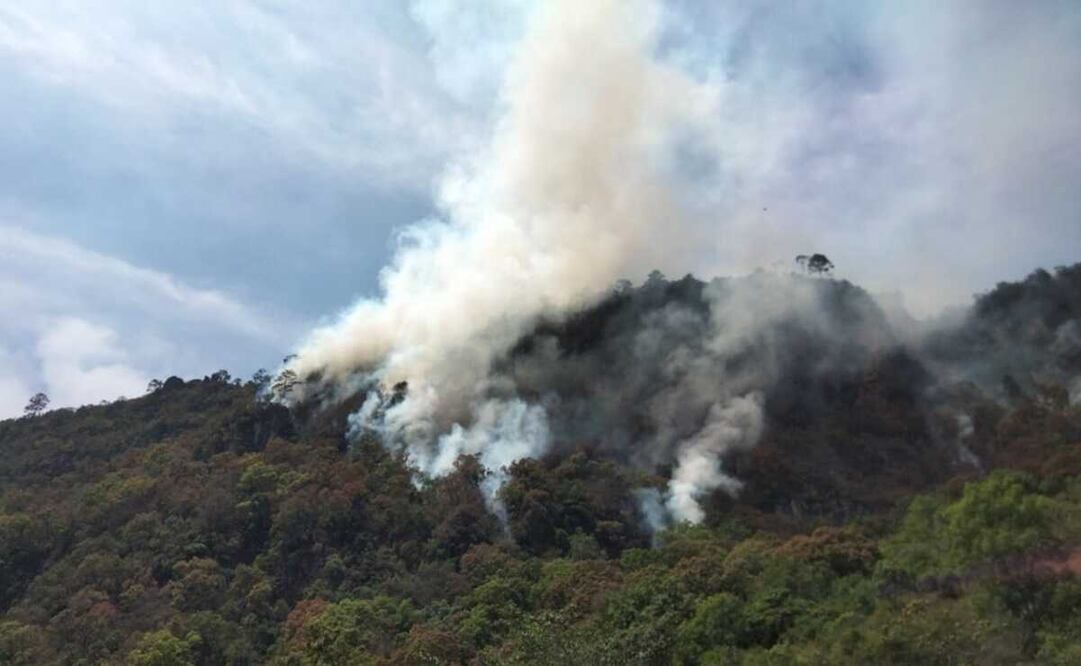 Santo Domingo del Estado pide ayuda por incendio que lleva 4 días en la Triqui Alta de Oaxaca. Foto: Especial