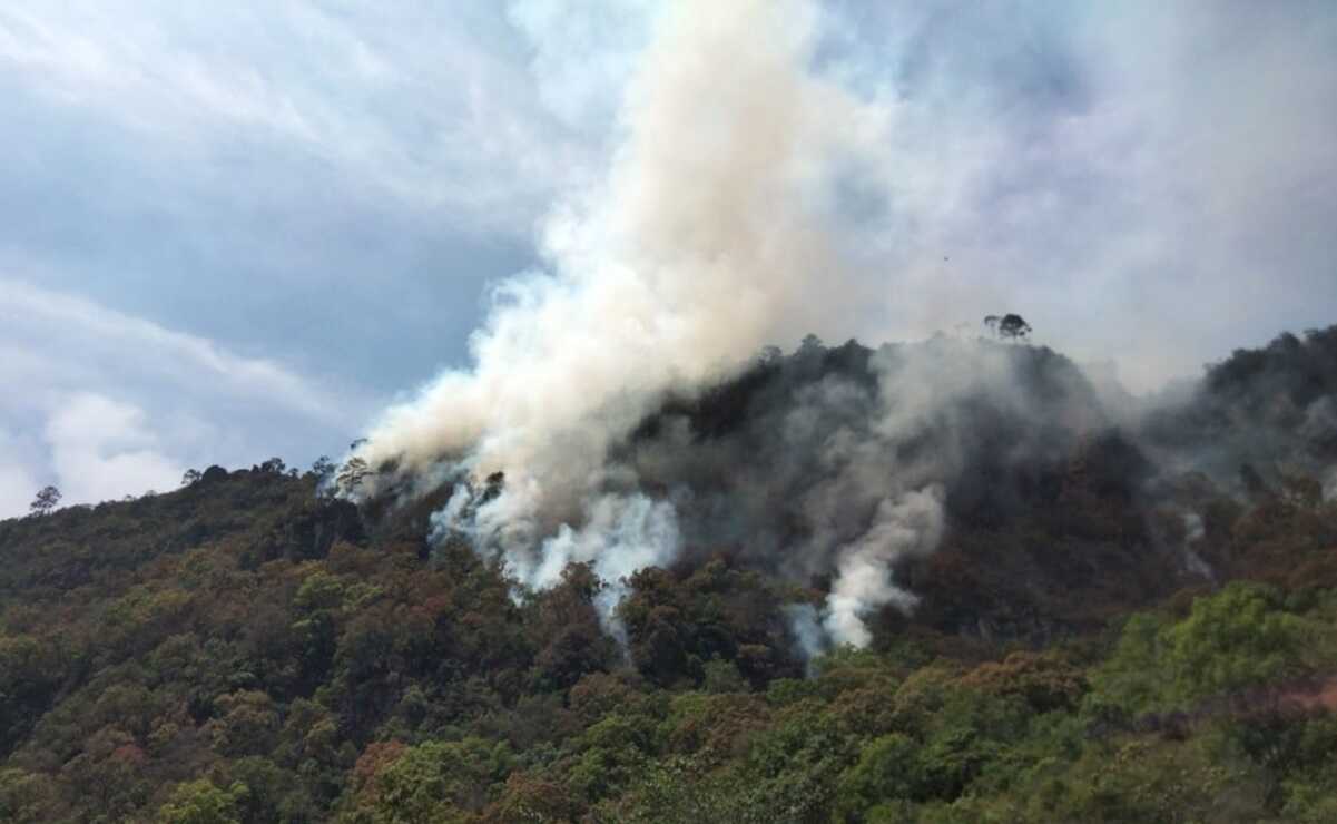 Santo Domingo del Estado pide ayuda por incendio que lleva 4 días en la Triqui Alta de Oaxaca