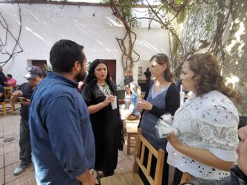 Toledo fue un transgresor como buen artista: Alejandra Frausto