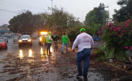 Solicitan Declaratoria de Emergencia en cinco municipios de Oaxaca afectados por lluvias