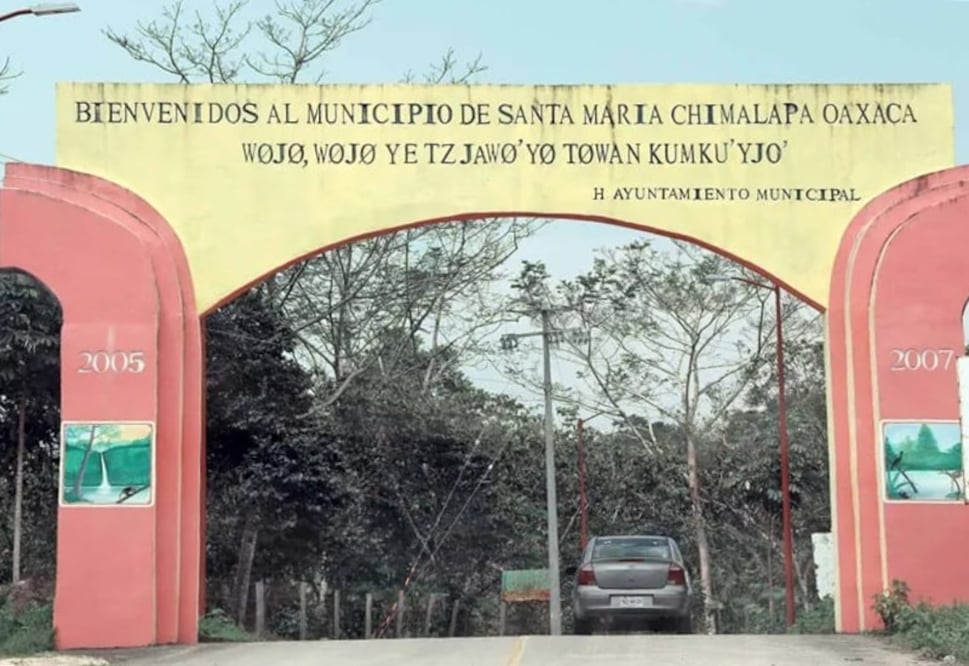 Bosques de Los Chimalapas tendrán programa de aprovechamiento forestal. Foto: Especial