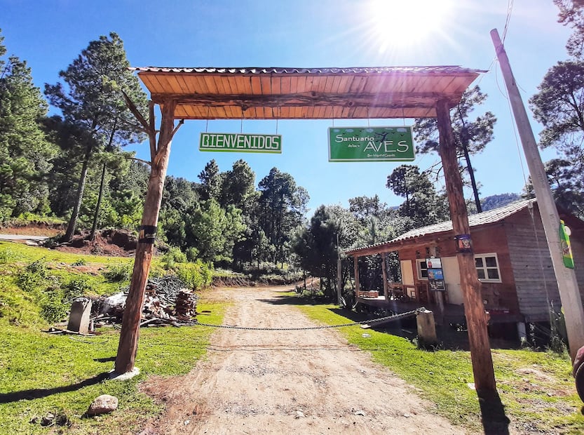 Santuario de las Aves en San Miguel el Grande, Oaxaca. Foto: FB@JuvenTours Oaxaca