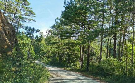 Advierten riesgo de violencia en San Miguel Chimalapa tras 17 días de bloqueo y escasez de víveres