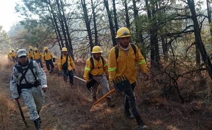 Reportan liquidación al 100% de dos frentes de incendio que devora bosques de la Mixteca de Oaxaca
