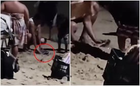 Captan a sujeto enterrando a una mantarraya en Huatulco, Oaxaca; VIDEO causa indignación en redes