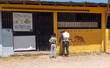 Denuncian cierre del único refugio de perros en Santiago Juxtlahuaca; alberga a 30 animales 