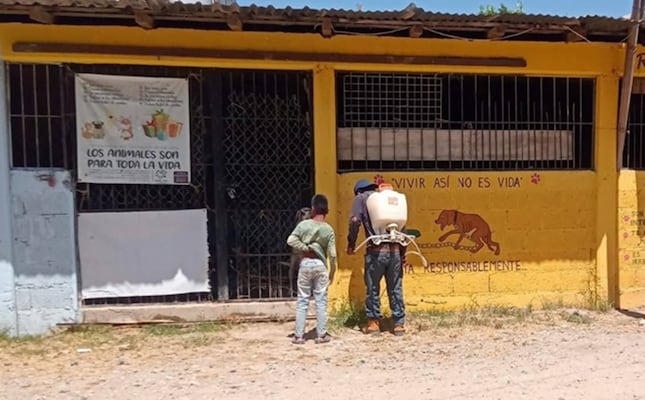 Denuncian cierre del único refugio de perros en Santiago Juxtlahuaca; alberga a 30 animales 