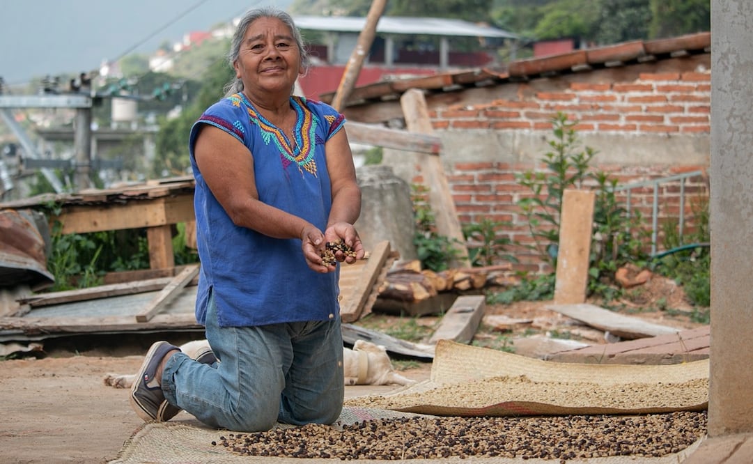 Mujeres del café: productoras de Talea de Castro luchan contra el coyotaje y preservan granos de Oaxaca. Fotos: Juana García