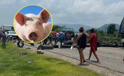 Pobladores bloquean la carretera Panamericana en Oaxaca por 2 cerdos; esto pasó
