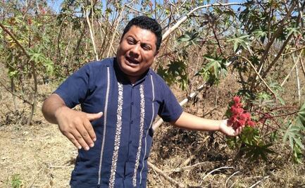 Higuerilla, de "basura" a materia prima para biodiésel y salvación económica para comunidades