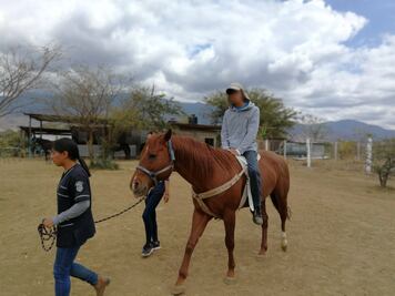 Terapia con caballos en Oaxaca, una mano a la medicina
