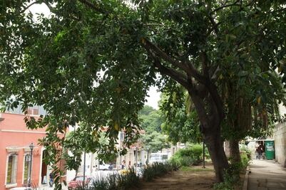 Exigen publicación del Programa Estatal de Cambio Climático